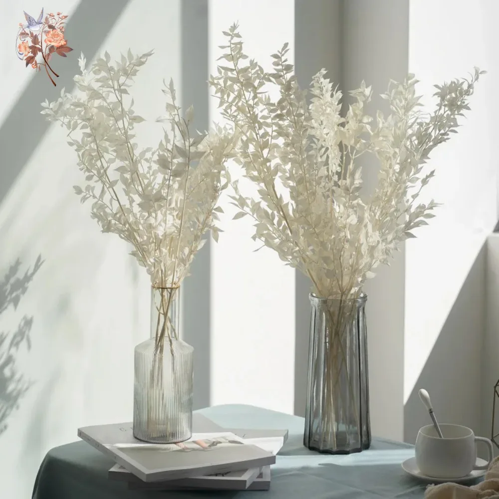 50 г Искусственные сухие цветы – обзор и цена Eucalyptus Preserved